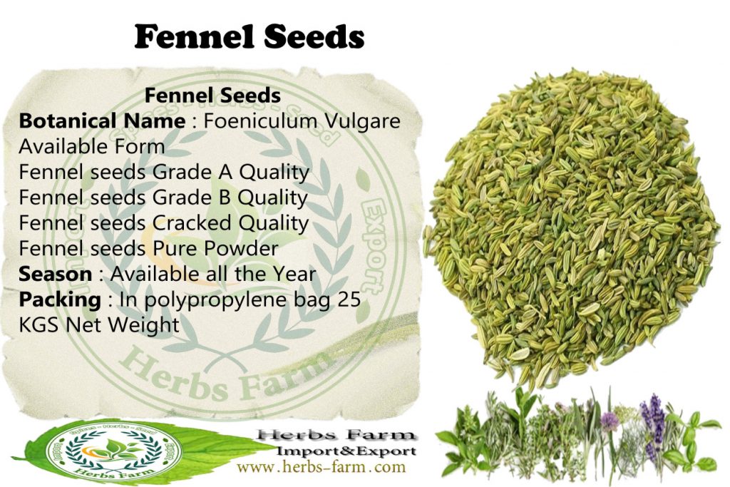 Catalog--Herbs-Farm_21